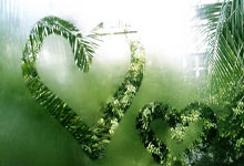 天涯论坛煮酒论史排名大揭秘，不看不知道原来历史大佬这么可怕！